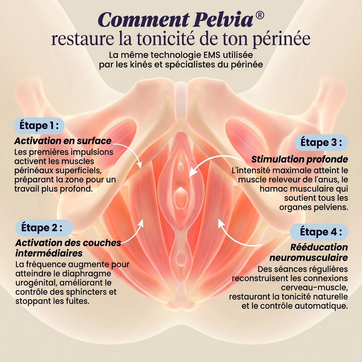 Pelvia